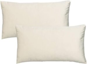 VAKADO Beige Lumbar Velvet Soft Solid Throw Pillow Cases Decorative Rectangle Cozy Cushion Covers Home Decor for Living Room Couch Sofa Car 12″x20″ Set of 2