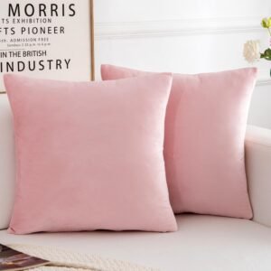 Velvet Decorative Throw Pillow Covers, Soft Square Cushion Case Home Decor for Living Room Couch Bed Sofa, Set of 2 Pack, Pink, 18×18 Inch
