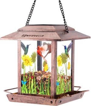 DesGully Solar Bird Feeders for Outdoors – 2.5 LBs Metal Wild Large & Small Bird Feeder for Outside Hanging, Gift Ideas for Avian Enthusiast Garden Yard Seeds (Chew-Proof, Weather Resistance)