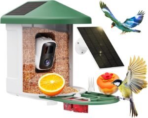HARYMOR Bird Feeder with Camera with AI Identify Birds Species Solar Powered, Smart Bird House with Cam, 2K HD Video Live Stream, Instant Arrival Alerts – Green