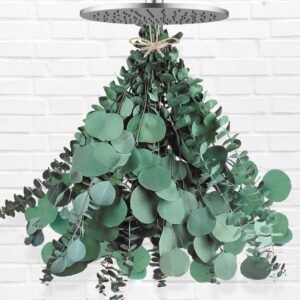 12 Pcs Large Dried Eucalyptus & Silver Dollar Leaves Bundle – Natural Real Fresh Plants, 17″ Preserved Eucalyptus Stems for Shower Hanging, Bathroom Decor, Garland, Greenery Plant