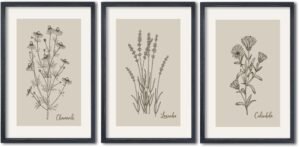 TQianJiang Set Of 3 Framed Vintage Botanical Prints Wall Art 16″×11″ Wildflower Pictures Wall Decor for Bedroom Bathroom Living Room Minimalist Line Drawing Neutral Tones Wall Hanging (Black)