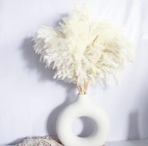 White Pampas Grass for Home Decor – Elegant Boho Decor – Premium Quality Pampas Grass Stems – Perfect for House, Nursery, Western, Wedding, Table, and Bohemian Decor (20PCS)
