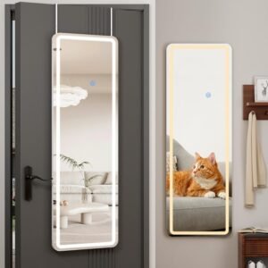 Koonmi Full Length Mirror Door Hanging with LED Lights 48″x16″