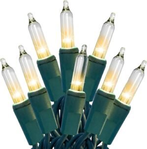 HISHINY Christmas Lights 100 Count Clear Christmas Tree Lights String with Green Wire for Outdoor Indoor Christmas Decorations Wedding Decorations Valentines Day Decor,UL Certified (21feet)