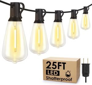 Larkvue 25FT Outdoor String Lights, Patio Lights with 10+1 LED Dimmable Waterproof Shatterproof ST38 Retro Edison 2700K Bulbs for Balcony Yard, Black
