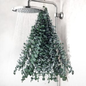 DomeStar 16PCS Real Dried Eucalyptus for Shower, 16″-17″ Natural Eucalyptus Stems Hanging Shower Plant Stress Relax and DIY Greenery for Bathroom Home Decor