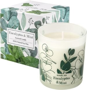 ROMIIE ZOI Scented Candle – Eucalyptus & Mint – 6oz Aromatherapy Soy Wax Jar Candle for Home, Gifts for Women – 170g