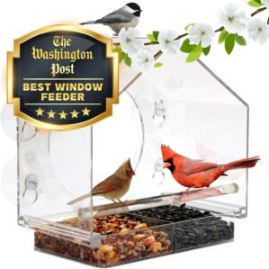 Nature Anywhere Window Bird Feeder – Weather Proof Transparent Acrylic Bird Feeders for Outdoors – Enhanced Suction Grip, Bird Watching for Cats, Easy-to-Clean, Outdoor Birdhouse Feeder (1 Unit)