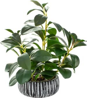 AlphaAcc Artificial Plants Decor Greenery Fake Succulents Indoor Potted Fake Plant with Rustic Black Clay Planter for Home Decor Farmhouse Room Bathroom Bedroom Kitchen Office Table Decor