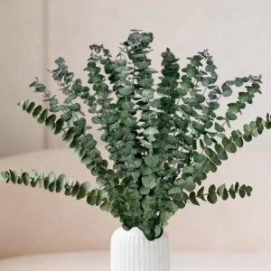 18 Pcs Real Dried Eucalyptus Stems,17″ Natural Eucalyptus Branches for Shower to Release Fragrance, Vase Filler, Bathroom Decor, Dried Flower Arrangement