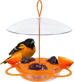 Nature’s Way OFP1 All-in-One Oriole Buffet Bird Feeder, Orange