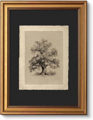 VIYYIEA Vintage Botanical Sketch Rustic Farmhouse Wall Art Decor for Living Room Bedroom Study, Aesthetic Classical Oak Tree Illustration Pictures,12x16inch,Gold Framed Canvas Prints Paintings