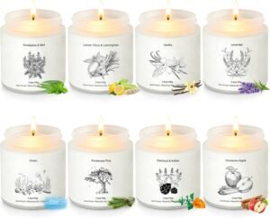 Scented Candles for Home, 8 Pack Soy Wax Gift Set for Women, Aromatherapy Candles, Lavender, Vanilla, Eucalyptus Mint, Ocean