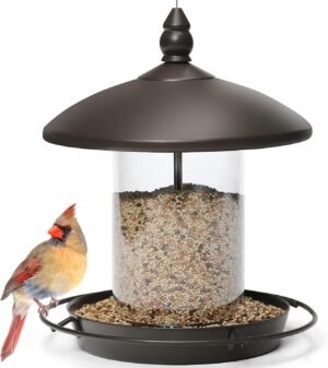 Youvip Metal Roof Bird Feeder – Chew Proof for Outdoor Hanging Wild Bird Seeds. Bronze