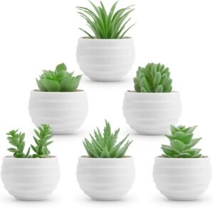 Der Rose 6 Pack Fake Plants Small Realistic Succulents Plants Artificial for Home Room Decor Indoor