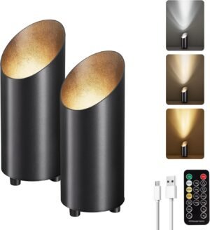 Powfloven 2 Pack Battery Uplights Indoor, Floor Can Lights with Remote and Timer, 3 Color Temperature Dimmable LED Wireless Up Lighting Spotlights for Corner, Living Room, Plant, Artwork, Black