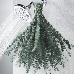 32PCS Dried Eucalyptus Stems for Shower – 17” Large Preserved Real Eucalyptus Leaves Bundle, Made from Fresh Eucalyptus Green Plant for Shower Hanging, DIY Artificial Flowers, Bathroom Decor