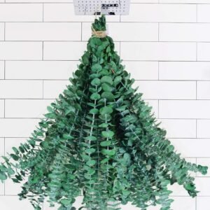 20 PCS Dried Preserved Eucalyptus for Shower, 17″ Real Natural Fresh Hanging Eucalyptus Stems,Real Leaves Branches for Vase Filler,Bathroom,Wedding,Dried Flowers Arrangement Decor