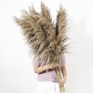 9 Stems Pampas Grass Decor Tall 48”/4 FT, Long Fluffy Dried Pompas Grass, Large Pampas Grass for Floor Vase, Rustic Wedding, Baby Shower, Party, Farmhouse, Boho Home Decor