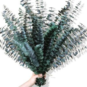 30Pcs Dried Eucalyptus Stems, 17″ Real Preserved Eucalyptus Plant for Shower, Fresh Natural Branches for Vase, Eucalyptus Bundle for Home Decor, Wedding, Baby Shower, Bathroom
