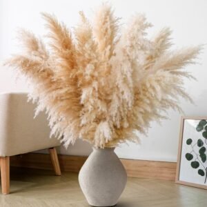 10 PCS 40″ Tall Pampas Grass Stems in Natural Beige, Add a Boho Touch to Your Space—Pompas Grass Ideal for Floral Arrangements, Floor Vases, Weddings, and Creating a Bohemian Ambiance at Home.