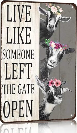 Crazysign Goat Gifts Vintage Goat Decor Sign Live Like Someone Left The Gate Open Tin Sign for Home Farm Fence Kitchen Bathroom Bedroom Wall Decor 8×12 Inches (3198)