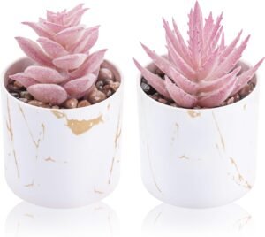 Der Rose Set of 2 Succulents Plants Artificial Mini Fake Succulents Plants for Office Desk Accessories for Women Pink Home Vanity Decor