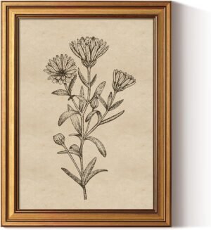 ARPEOTCY Gold Framed Canvas Art Prints,12x16inch, Botanical Wildflower Art Painting, Vintage Country Decor for Bathroom Bedroom Kitchen Shelf, Rustic Cottagecore Minimalist Plant Pictures