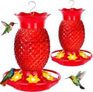 Fchstaer Glass Hummingbird Feeders for Outdoors Hanging 16oz 2 Pack Red Pineapple Bee & Ant Proof 360°Perch Leakproof Easy Clean with 6 Feeding Ports Gifts for Mom