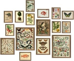 ANERZA 16 PCS Framed Vintage Wall Art Decor, Botanical Cottagecore Wall Prints for Bedroom, Gallery Wall Frame Set, Farmhouse Posters for Living Room Aesthetic, Rustic Dorm Home Collage Kit