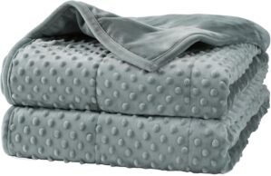 Alomidds Weighted Blanket for Adults – 15lbs Queen Size 60″x80″ Cooling Minky Blanket, Grey