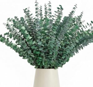 50 Pcs Preserved Eucalyptus Stems, 17 Inch Real Dried Eucalyptus Branches for Shower, Vase Arrangements, Home Decor, Wedding, Bathroom