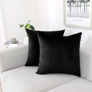 NiNi ALL Throw Pillow Covers 18×18 Inch, Pack of 2 – Black Velvet Decorative Cases for Outdoor Garden Farmhouse Cushion Caes Modern HomeDecor for Sofa Bed Chair