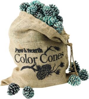 Fireplace Color Cones, Festive Fun Rainbow Flame Changing Pine Cones, Firepit Campfire Hearth Wood Burning Accessories for Holidays or Anytime (2 LB Refill in Burlap Bag)